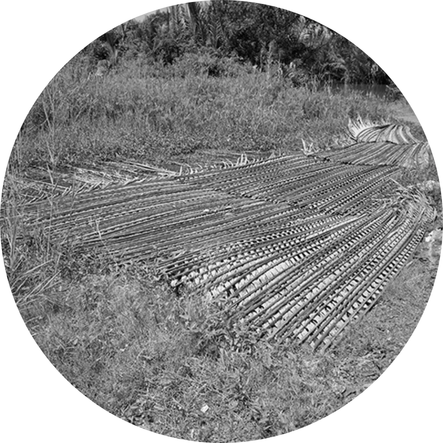 91.webp