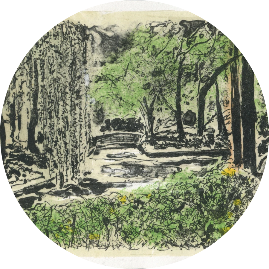 98.webp