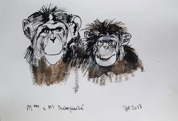 Madame et Monsieur Chimp