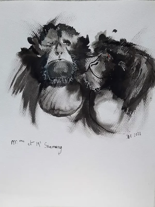 Madame et Monsieur Siamang