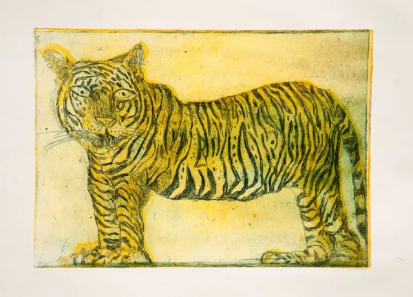 tigre gravure eau forte et aquatinte bichromie