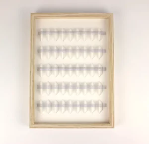 Variation sur un même thème 5