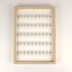 Variation sur un même thème 5