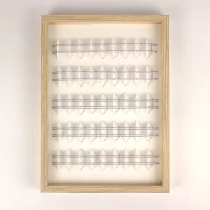 Variation sur un même thème 6