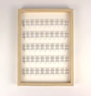 Variation sur un même thème 6