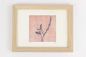 Graminées bleues sur fond rose