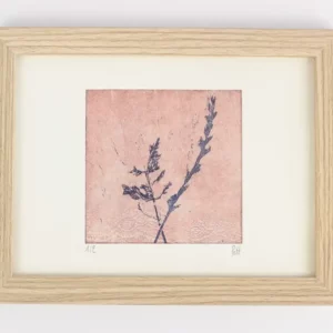 Graminées bleues sur fond rose