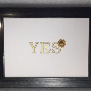 POMM.’s A WORD – YES