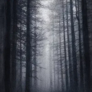 No sleep for Queen 2 (2)