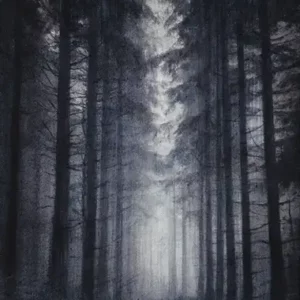 No sleep for Queen 5 (2)