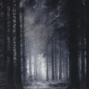 No sleep for Queen 6 (2)