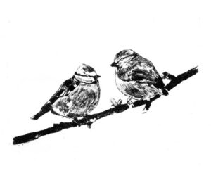 Mésanges (pointe sèche)